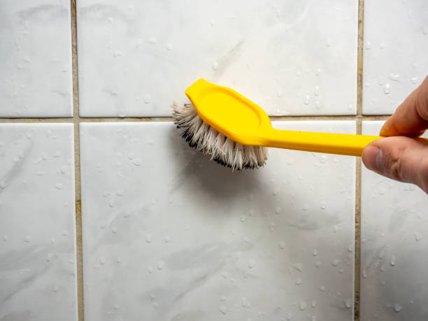Best Preventive Mold Services in Velda City, MO