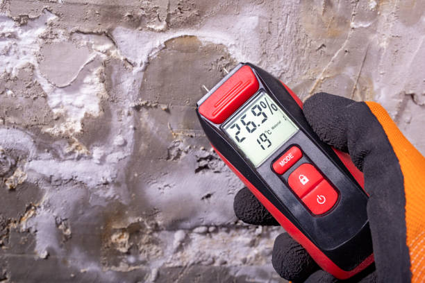 Professional Mold Remediation in Velda City, MO
